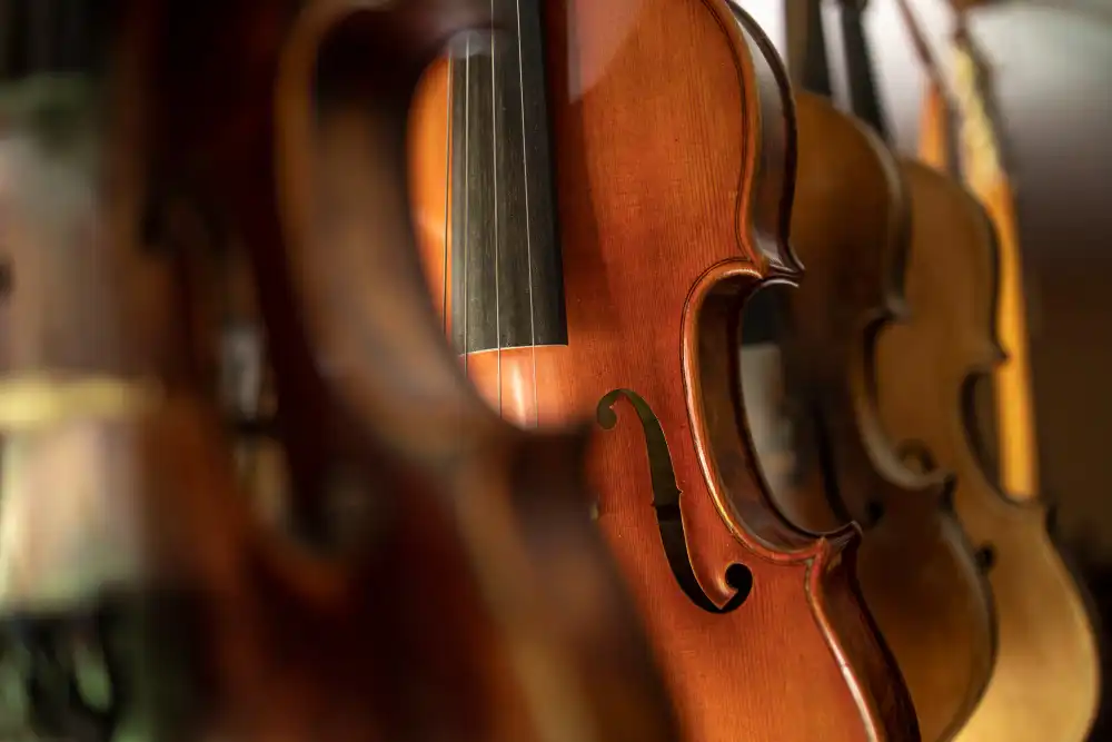 instrumentos musicales